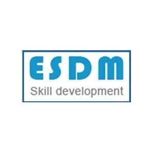 ELECTRONIC SYSTEM DESIGN & MANUFACTURING